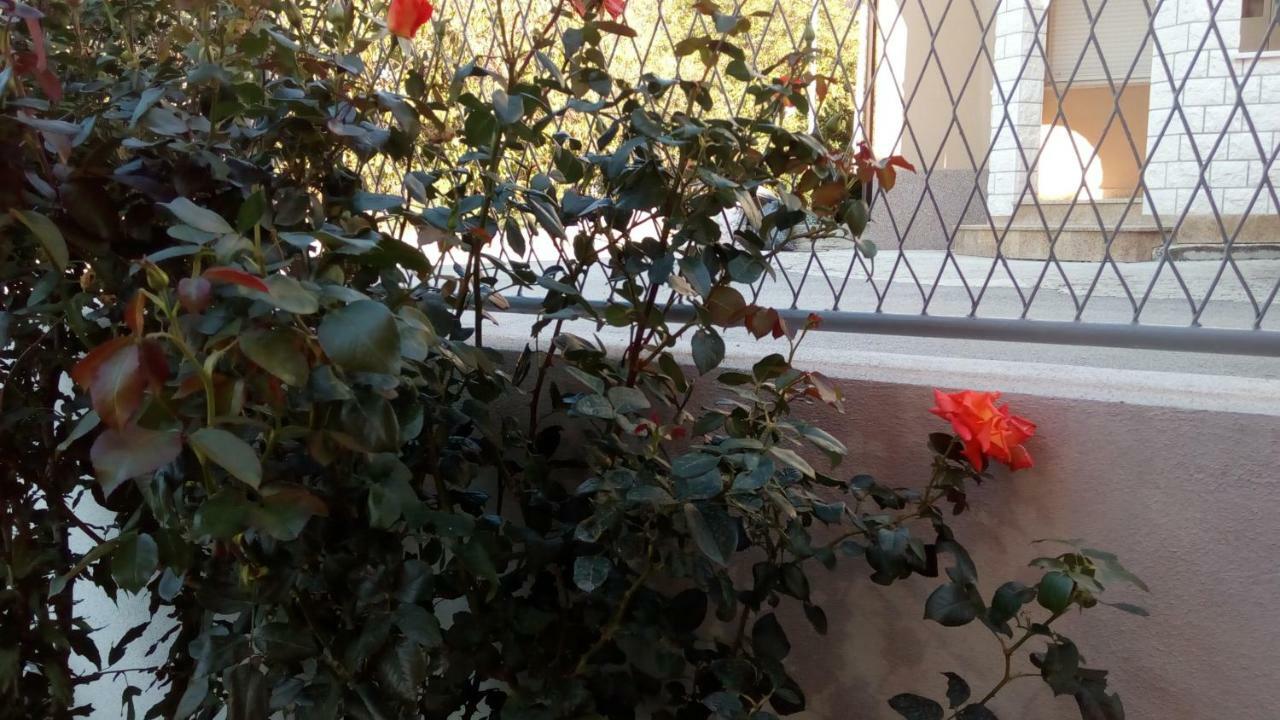 Apartment Sunce Podstrana Bagian luar foto